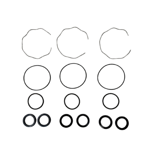 Pony Rod Seal Kit, OMAX - OEM # : 312500