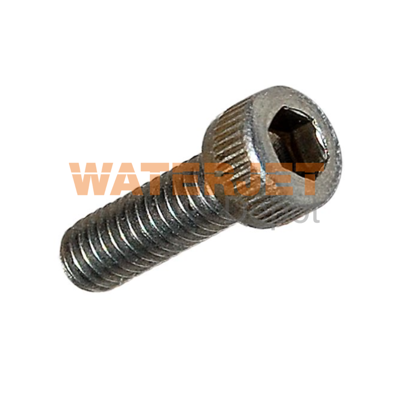 Check Valve Screw - OEM # : 300734