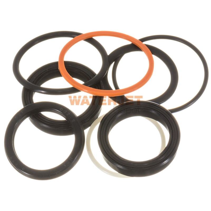 Hydraulic Cartridge Seal Kit - OEM # :  80084759
